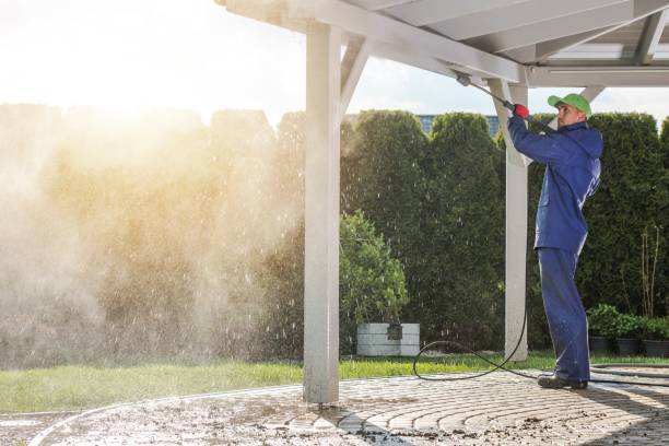 Best Soft Washing  in Sparta, MI